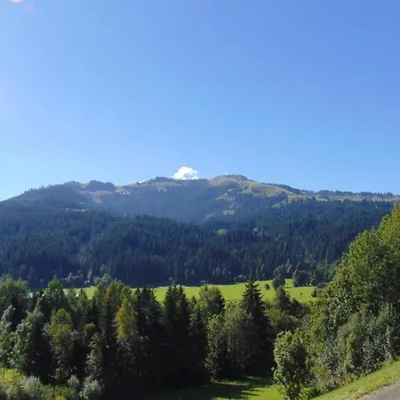 Hennleiten Huette * Reith bei Kitzbuehel